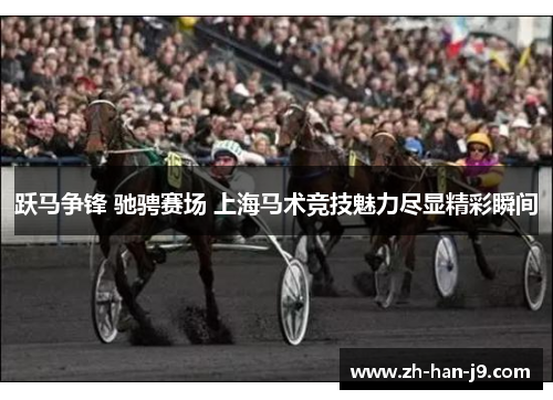 跃马争锋 驰骋赛场 上海马术竞技魅力尽显精彩瞬间