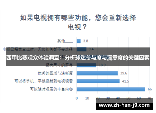 西甲比赛观众体验调查：分析球迷参与度与满意度的关键因素