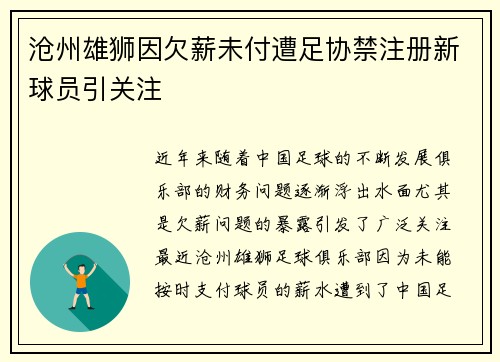 沧州雄狮因欠薪未付遭足协禁注册新球员引关注